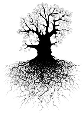 Tree with roots clipart