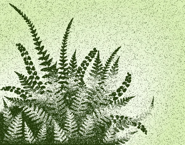Fougère grunge — Image vectorielle