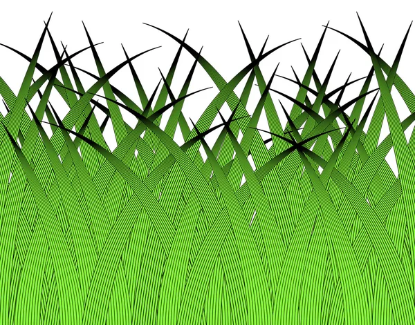 Gräs blad — Stock vektor