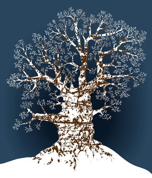 Снежный дуб — стоковый вектор