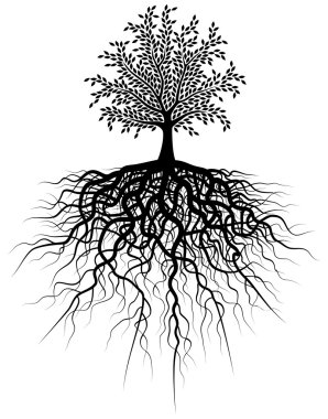 Root tree clipart