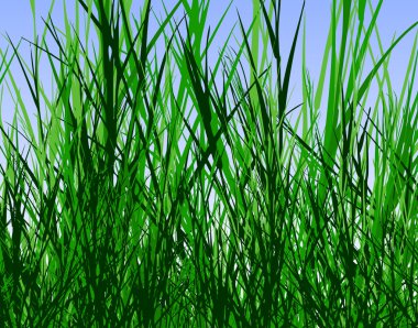 Grass jungle clipart