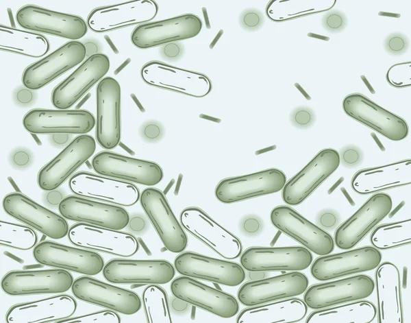 Bacterias — Archivo Imágenes Vectoriales