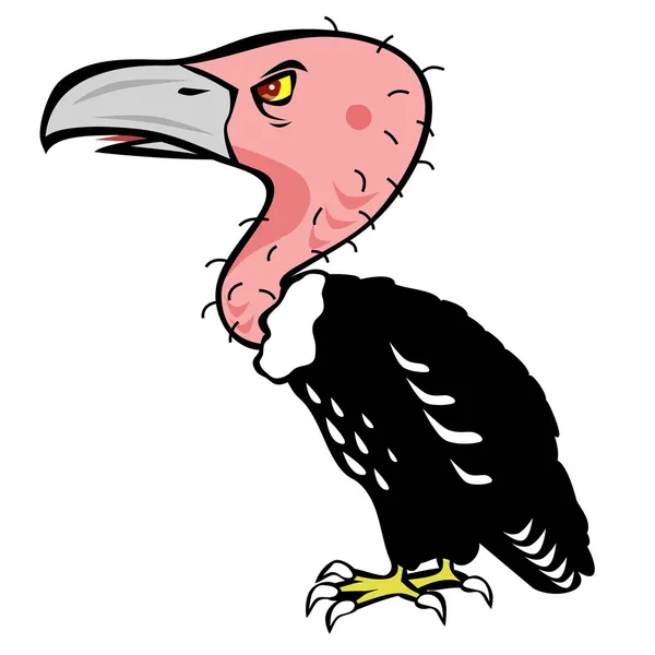 Avvoltoio — Vettoriale Stock