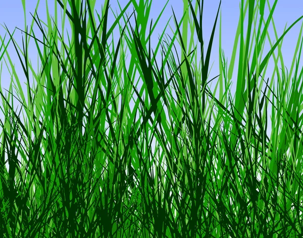 Gras-Dschungel — Stockvektor