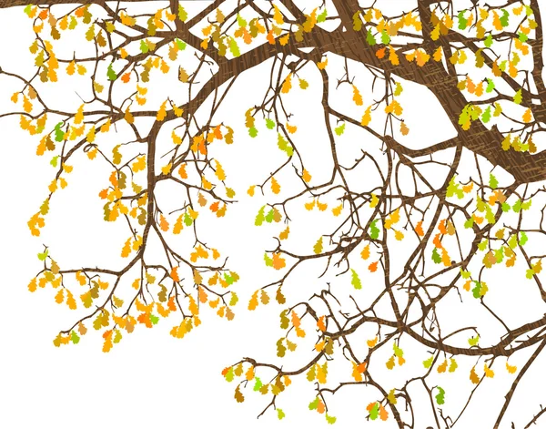 Branches — Stock Vector