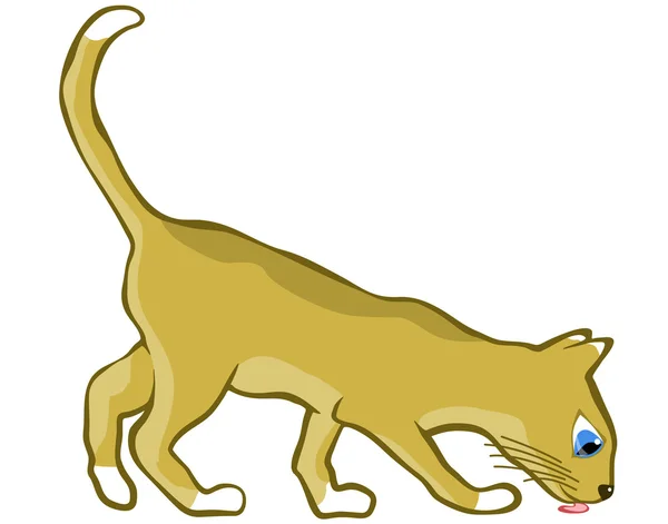 Yavru kedi — Stok Vektör
