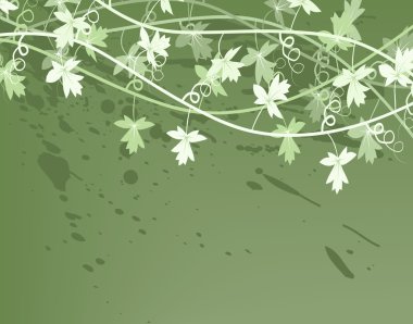 Vines background clipart