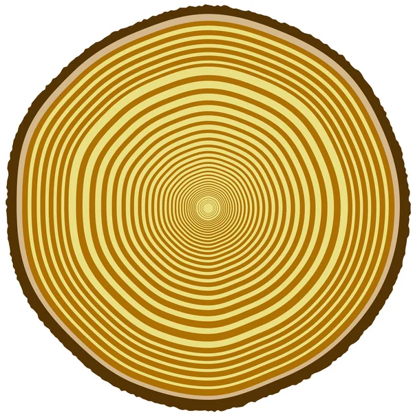 Кільця дерев — стоковий вектор