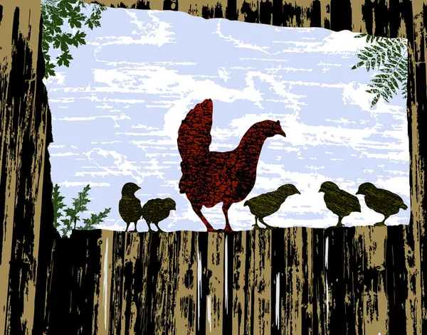 Poules et poussins — Image vectorielle