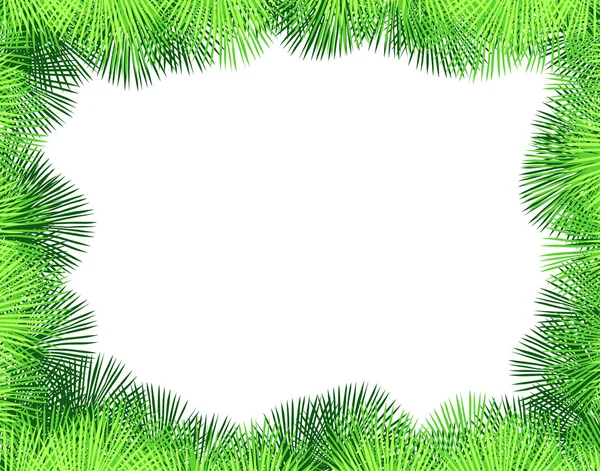 Frange de palmier — Image vectorielle