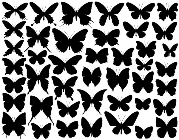 Formes papillon — Image vectorielle