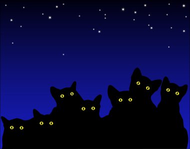 Cats eyes clipart