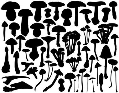 Fungi collection clipart