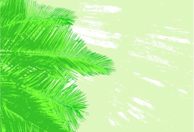 Palm fronds clipart