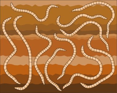 Worms underground clipart