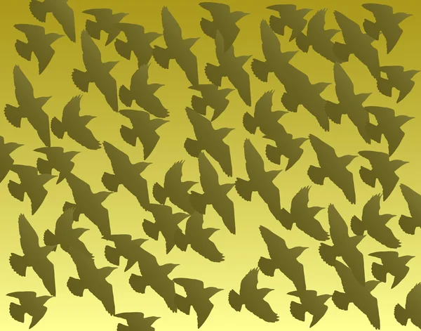 Gregge di uccelli — Vettoriale Stock