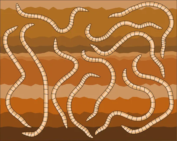 Worms underground — Stock Vector