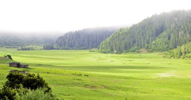 Lone Shack in valley