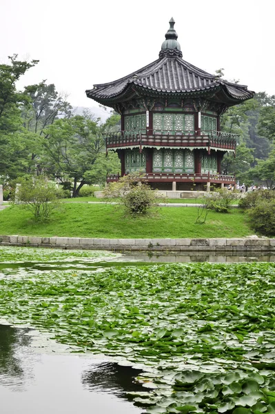 Koreanska pogada i en trädgård i seoul — Stockfoto