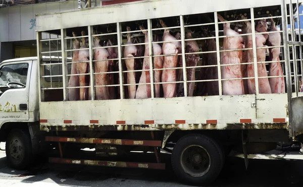 Свиной фургон — стоковое фото