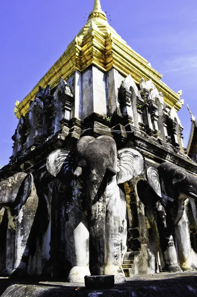 石造り象とタイの寺院 — ストック写真