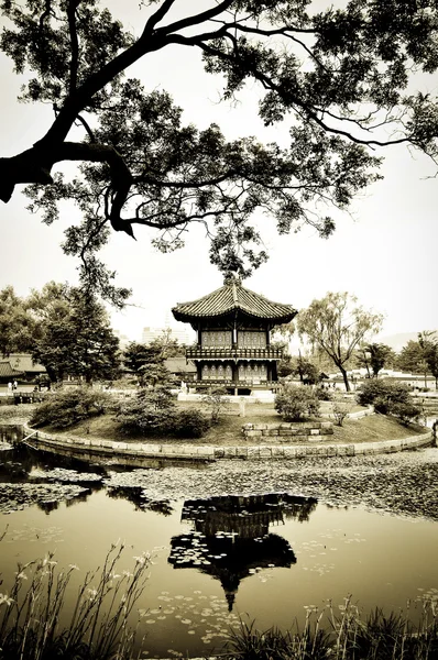 Китайская архитектура в саду Стоковое Фото