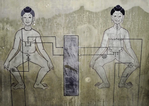 Historische Thaise anatomie schilderij Stockafbeelding