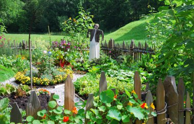 Vegetable garden clipart