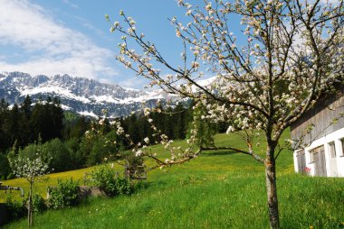 Wilder Kaiser