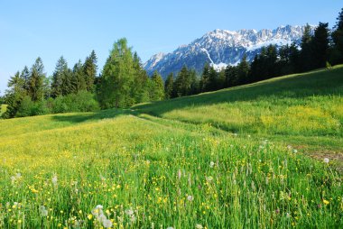 Wilder Kaiser