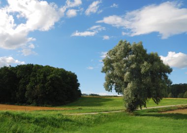 Bavyera peyzaj