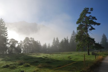 sisli sabah