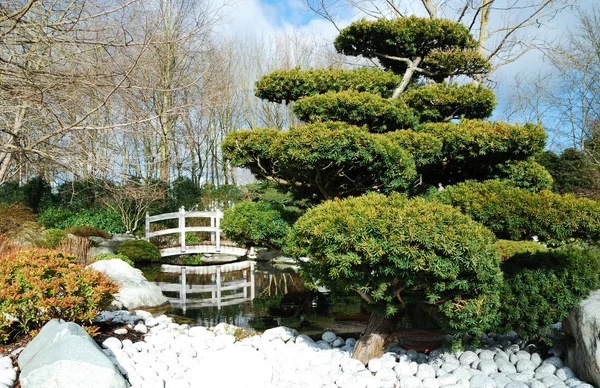 Japanse tuin — Stockfoto