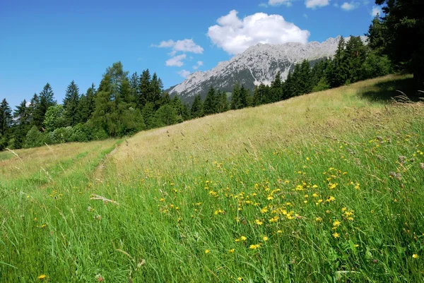 Alpit Itävallassa — kuvapankkivalokuva