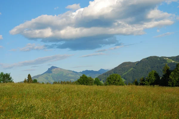 Альпы Австрии — стоковое фото