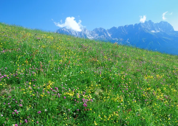 Alpy w Austrii — Zdjęcie stockowe