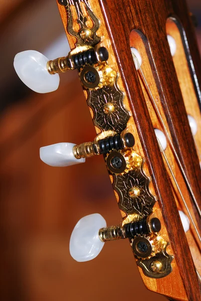 stock image Guitar