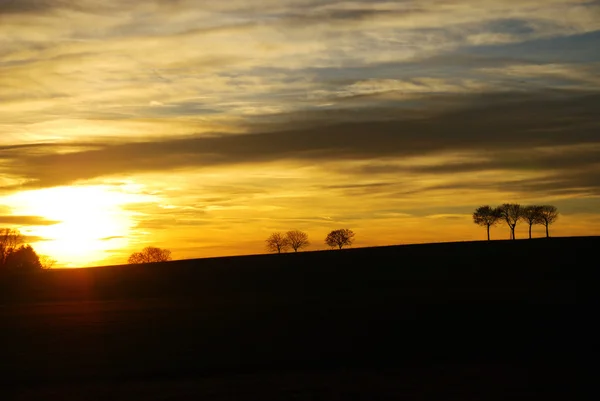 Árvores durante o pôr do sol — Fotografia de Stock