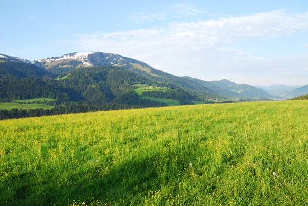 Austrian Alps — Stock Photo, Image