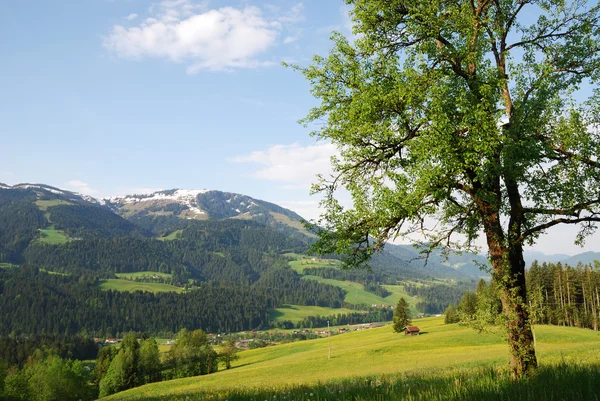 奥地利阿尔卑斯山 — 图库照片