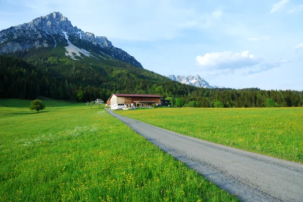 Itävallan Alpit — kuvapankkivalokuva