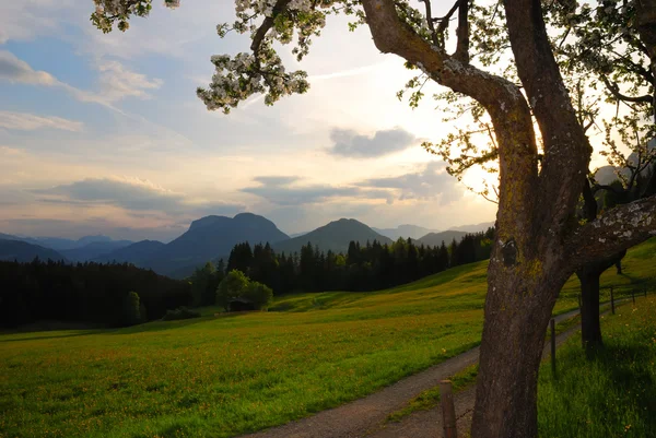 Puesta de sol en los Alpes — Foto de Stock