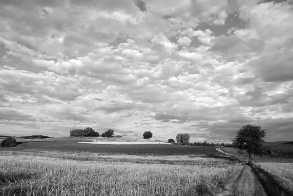 stock image Bavaria in black and white