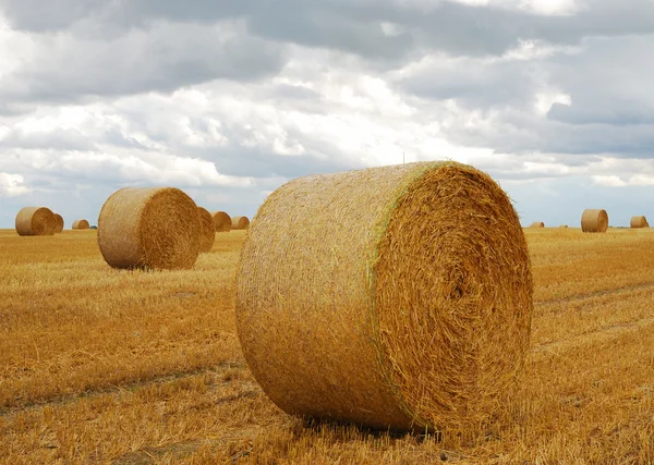 Bales of straw — Stock Photo, Image