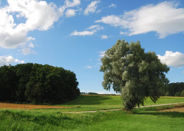 Баварский пейзаж — стоковое фото