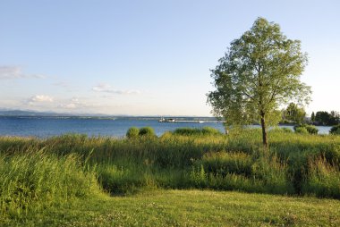 Lake Bodensee