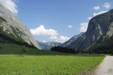 Mountain pasture in Tirol clipart