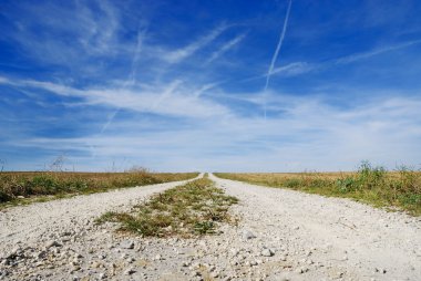 Yalnız dirt track