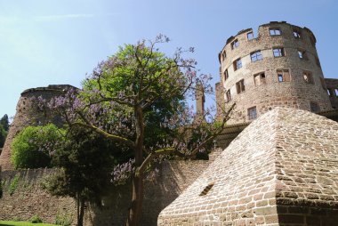 Heidelberg castle